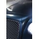 OMEGA SKINZ Wrap Film OS-755 Hail To The King, 1.525 x 20 m OMEGA SKINZ Wrap Film OS-755 Hail To The King, 1.525 x 20 m